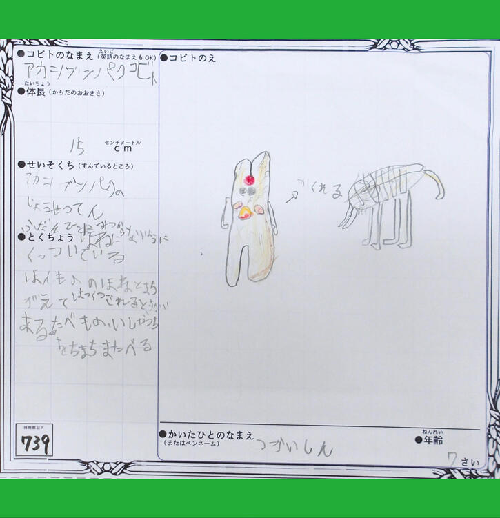 アカシブンパクコビト.jpg