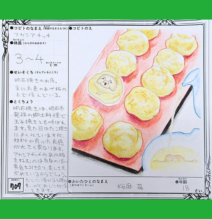 アカシアチッチ.jpg